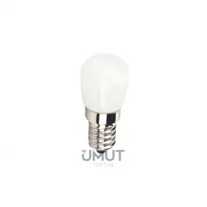CATA BUZDOLABI AMPUL 2 W G.IŞIĞI CT-4261