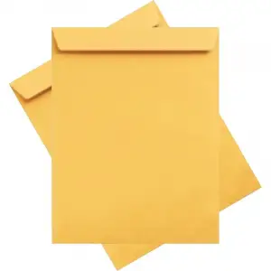 ASİL TORBA ZARF 17x25 FORMULA (KT-500LÜ)