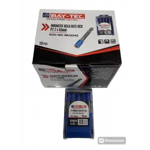 BAY-TEC MIK.UÇLU BİTS UCU PZ2X65 MM 2042(PK-10 LU)