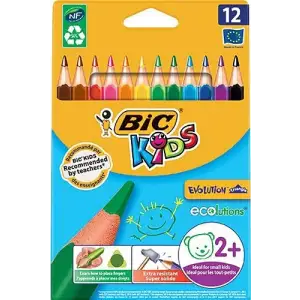 BİC KURU BOYA EVOLUTİON JUMBO ÜÇGEN 12 Lİ