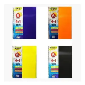 ÇINAR AYRAÇLI DEFTER IDEA 17x24 4+1