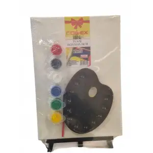 COLLEX 25X35 TUVAL BOYAMA SETİ 7025