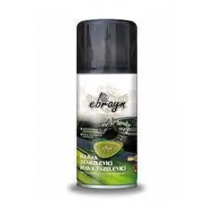 EBRAYN AEROSOL KLİMA HAVA TEMİZLEYİCİSİ 150 ML