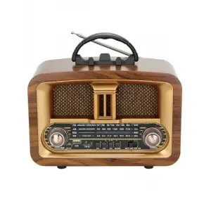 EVERTON RADIO ELEKTRONİK MULTIMEDIA RT-876