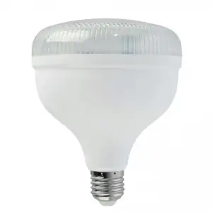 HOROZ CRYSTAL-50 TORCH LED AMPUL 50 W