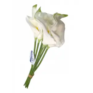 IVORY DEKORATİF ZAMBAK KARMA 6 LI IVO-9016