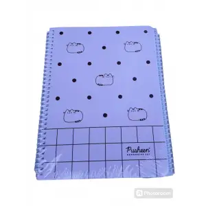 KESKİN PUSHEEN 16,5X22,5 SPR.KAR.KAP.KARELİ DEFTER