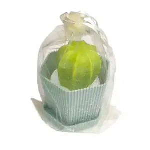 KRİSTAL BULAŞIK SÜNGERİ KAKTÜS TASARIMLI KST-28