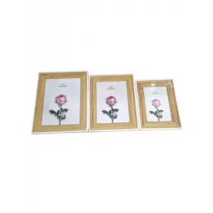 LALE ÇERÇEVE 13 X 8 CM 24-J