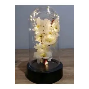 LALE FANUS IŞIKLI CAM 9-E