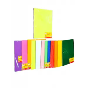 MİLEO FON KARTONU 50X70 KARIŞIK RENK 160GR(PK-100)