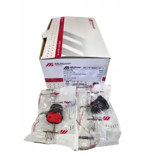 MUTLUSAN TOPRAKSIZ (MİMOZA) DİŞİ FİŞ SİYAH POŞETLİ