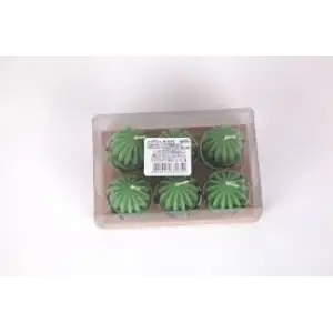 NUR KAKTÜS MUM 6 LI X-655