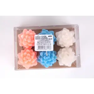 NUR KAKTÜS MUM (AÇMIŞ) 6 LI X-656