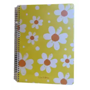 PAPATYA SERT KAPAK 17X24 100 YP ÇİZGİLİ
