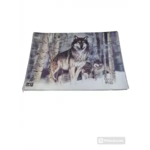 RESİM DEFTERİ 3D 25X35 (PKT-6 LI)