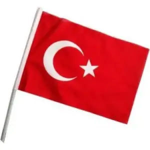 SAPLI TÜRK BAYRAĞI 20X30 10 LU