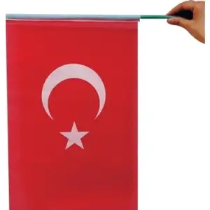SAPLI TÜRK BAYRAĞI RAŞEL 30X45 10 LU