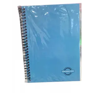SİNGLE COLOR 17X24 KARELİ DEFTER