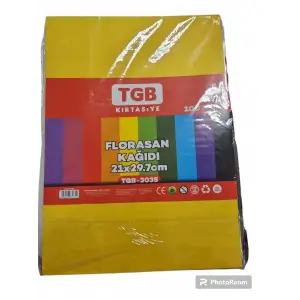 TGB RENKLİ FLORASAN FOTOKOPİ KAĞIDI A4 100 LÜ 2568