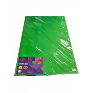TİCON FON KARTONU 50X70 CM 160 GR Ç.YEŞİL(PKT-100)