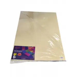 TİCON FON KARTONU 50X70 CM 160 GR TEN RENGİ (PKT-100 LÜ)