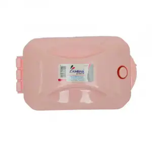 ZAMBAK GIRGIR İKİLİ STAR ZP-151 (KOLİ-120 Lİ)