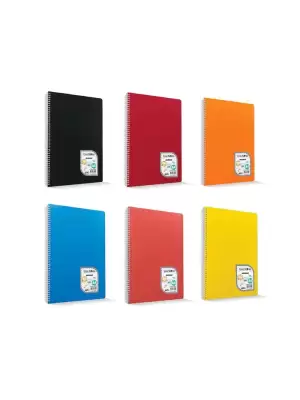 A4 METOT PP KAPAK SPİRALLİ 40-4 DEFTER (KOLİ-96LI)
