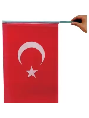 SAPLI TÜRK BAYRAĞI RAŞEL 30X45 10 LU