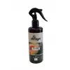 EBRAYN PREMIUM ODA VE OTO KOKUSU 300ML MELON BLISS