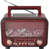 EVERTON RADIO RT-754