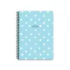 KESKİN PUANTİYE DEFTER A6 SPR.PP.KAP.ÇİZ.80 YP.