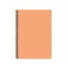 KESKİN SAGUARO DEFTER 17X24 KARELİ SPR.100 YP.