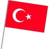 SOPALI BEZ BAYRAK 30X45 (PKT-10LU)
