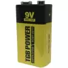 TGB POWER PİL 9 V 6F22 (PKT-10 LU)