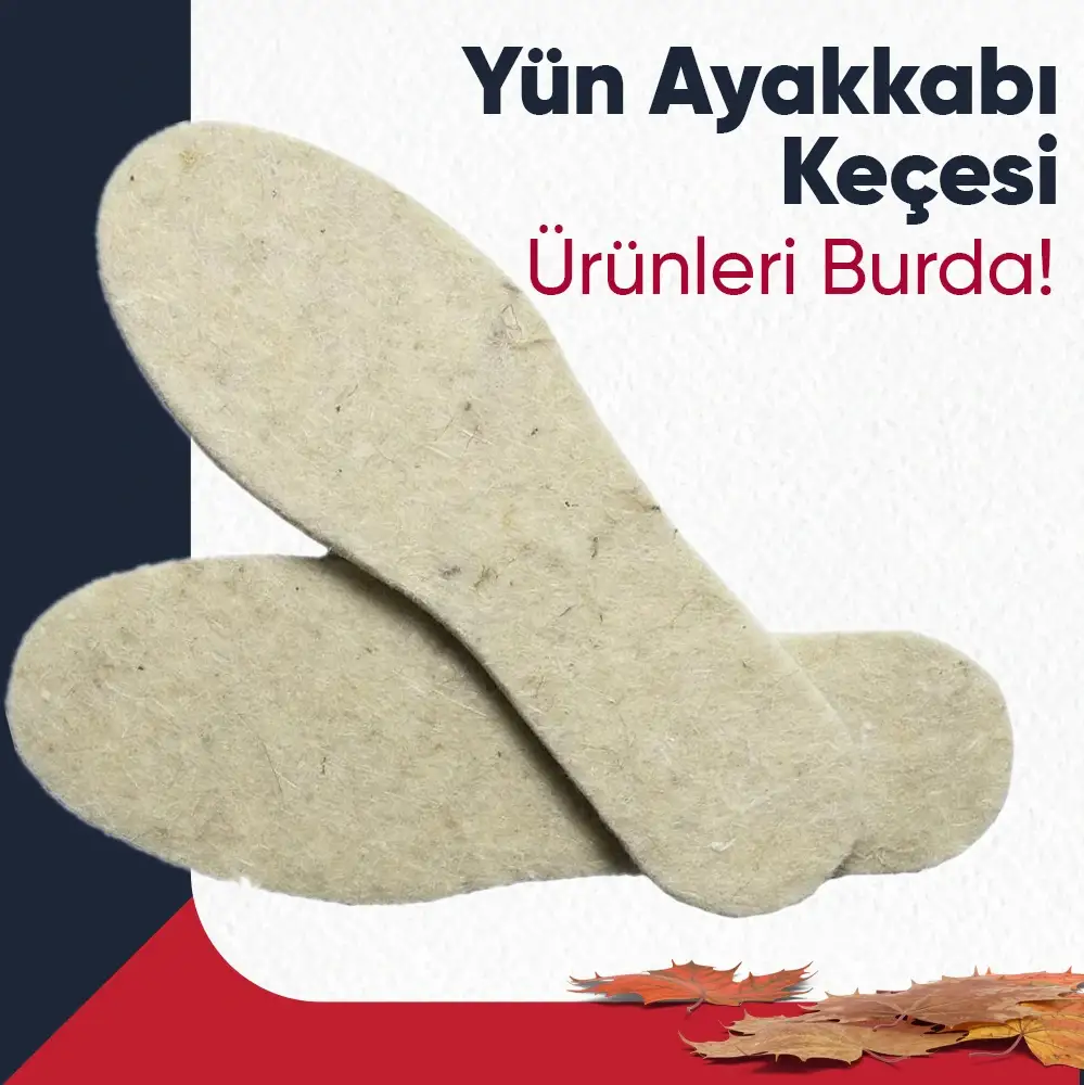 ayakkabı keçesi