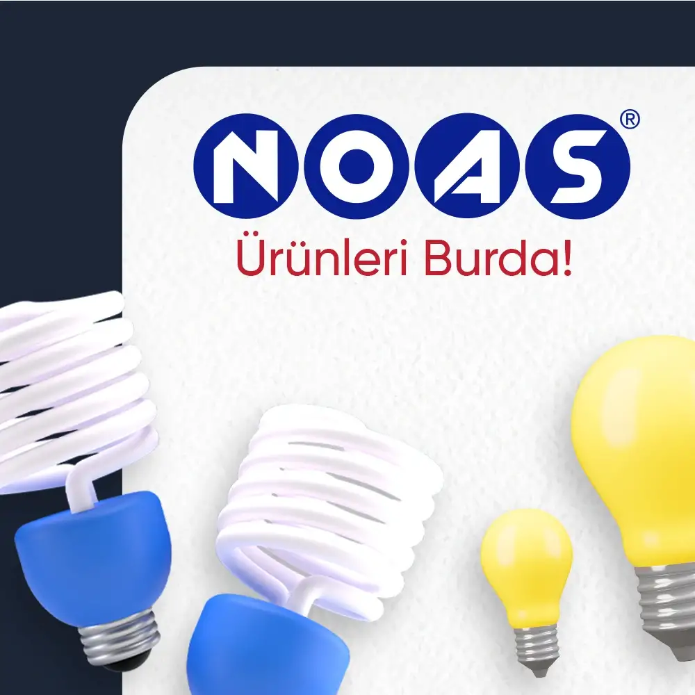 Noas, Umut Toptanda!