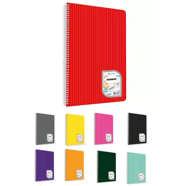 ÇINAR A4 METOT PP KAPAK 100-1 DEFTER 6LI (KL-48Lİ)