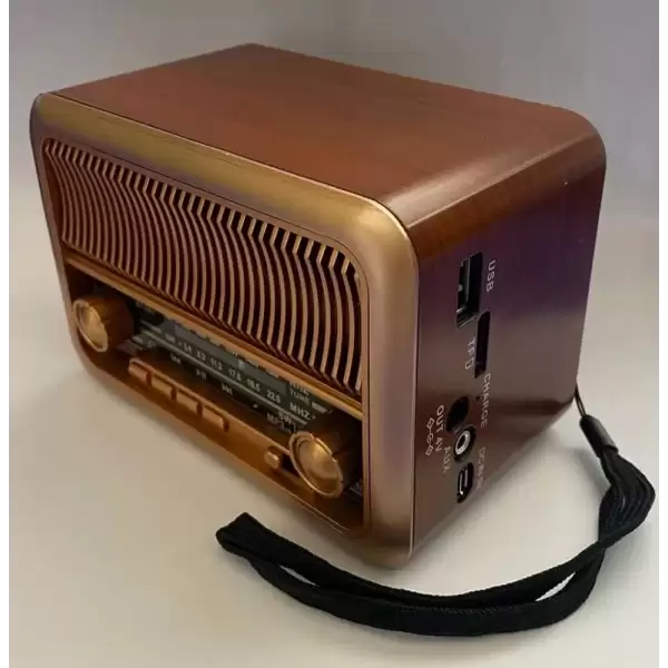 EVERTON RADIO ELEKTRONİK MULTIMEDIA RT-351