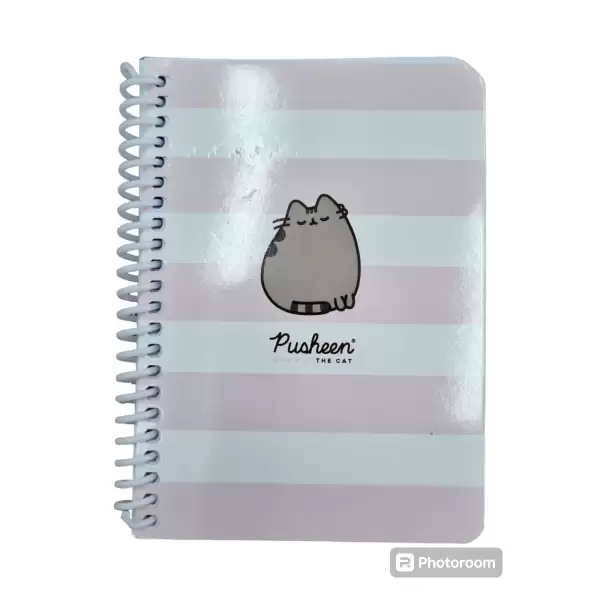 KESKİN PUSHEEN BLOKNOT A6 SPR.ÇİZGİLİ 80 YP.