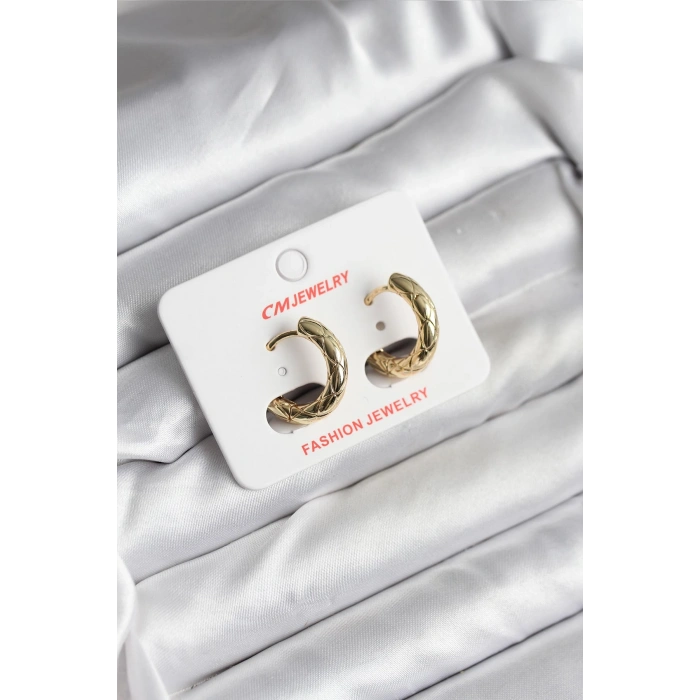 14K Gold Renk Kaplama CM Kadın Küpe TJ-BKP11411