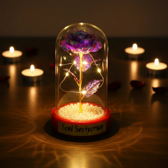 İncili Sonsuzluk Gülü Ledli Fanus