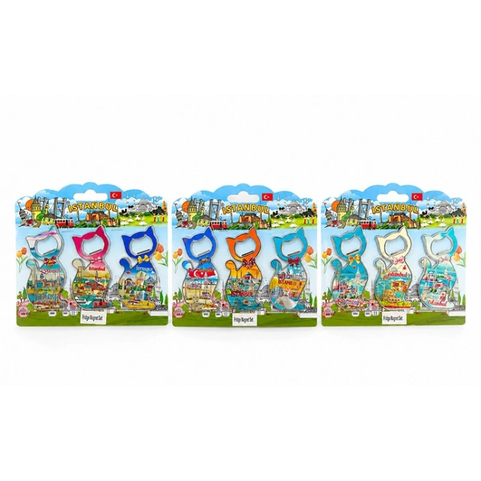 İstanbul Temalı Metal Buzdolapı Süsü Magnet 3Lü Set Alk5812