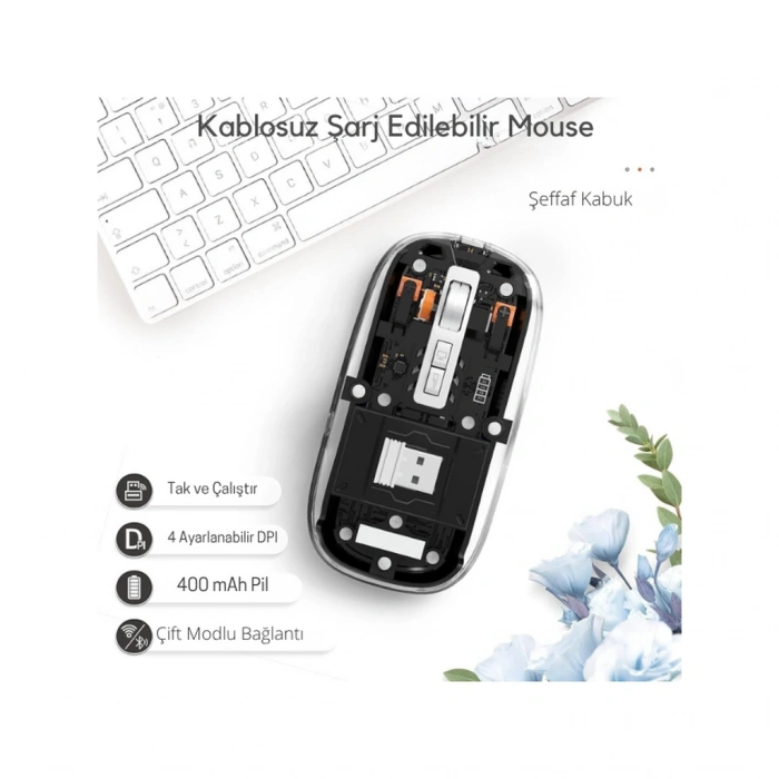 Siyah 501 Bt+ Wireless Mouse ZR1133