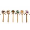 Deri Tamtam  No:1035