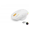 Dual Mode Kablosuz Mouse 12800 Dpi 7 Tuş Makro 1000Hz Rgb - Beyaz W601W