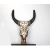 Duvara Asmalı Bufalo Kafası