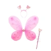 Toz Pembe Renk Kanadı Tacı ve Sopası 50x37 cm