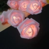 Yapay Gül Tasarımlı Dekoratif Led Işık Pilli (20 Gül)