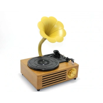 Ahşap Pikap Plak Çalar